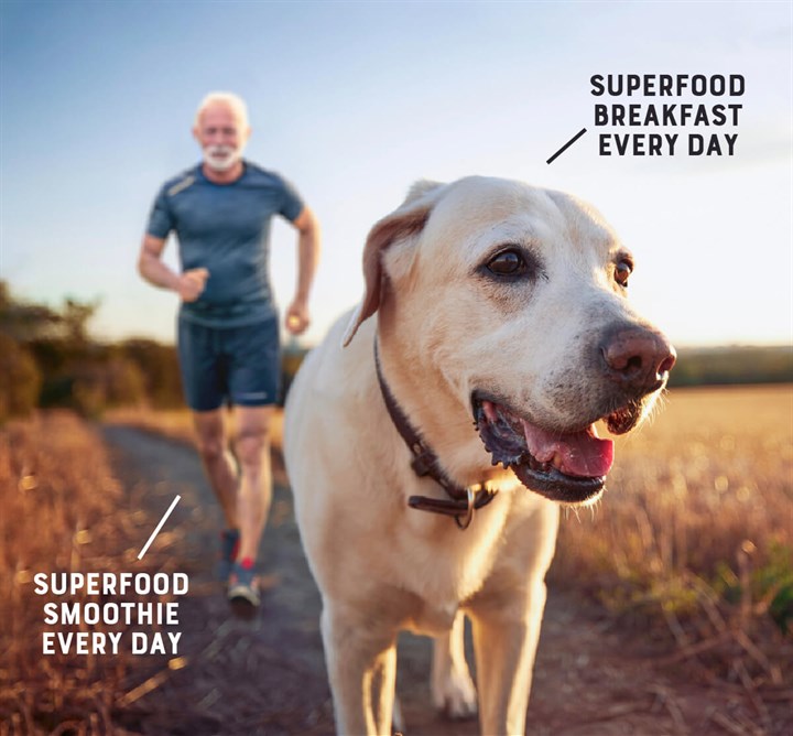 Senior Insect Protein Dry Dog Food